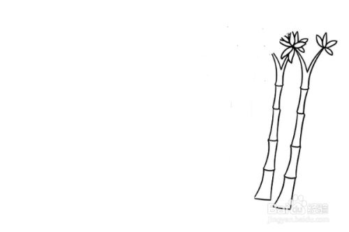 竹石怎么画简单