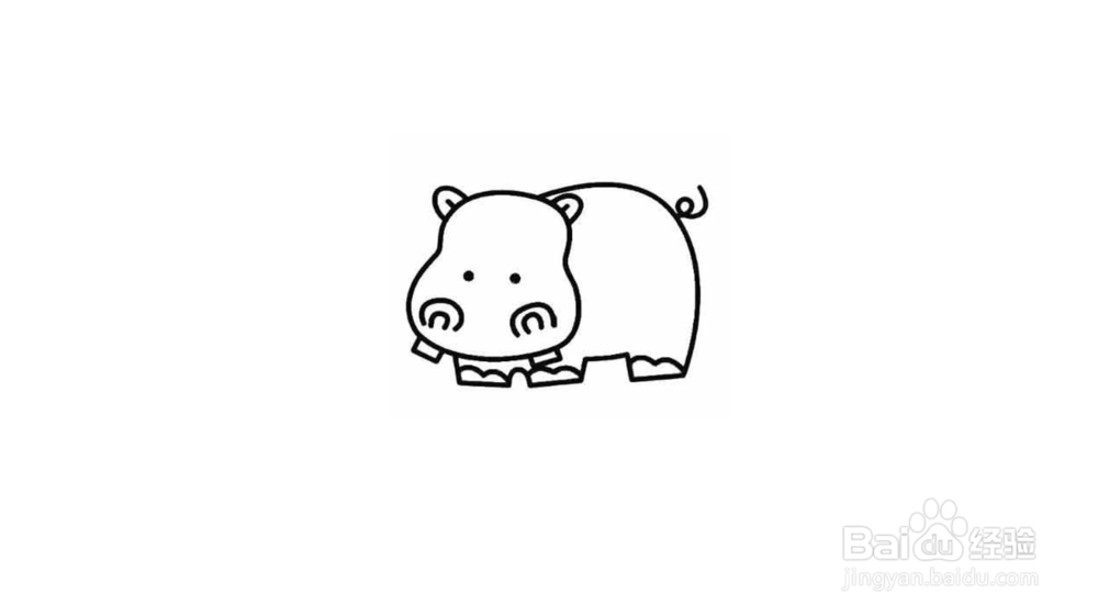 河马简笔画教程