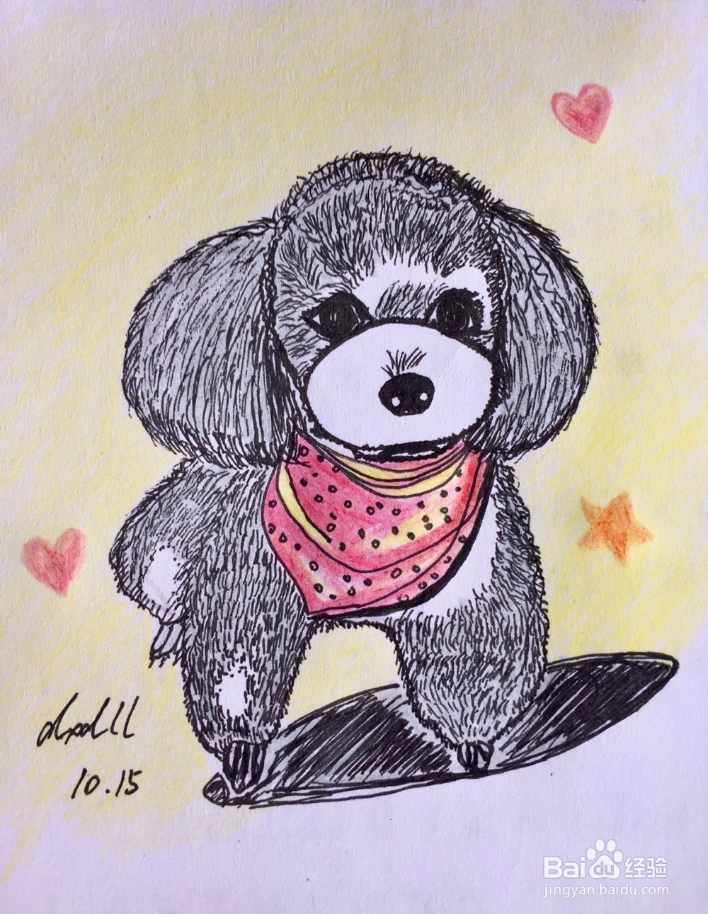 茉莉彩铅手绘之萌宠泰迪