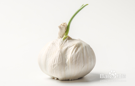 这些食物发了芽能吃吗