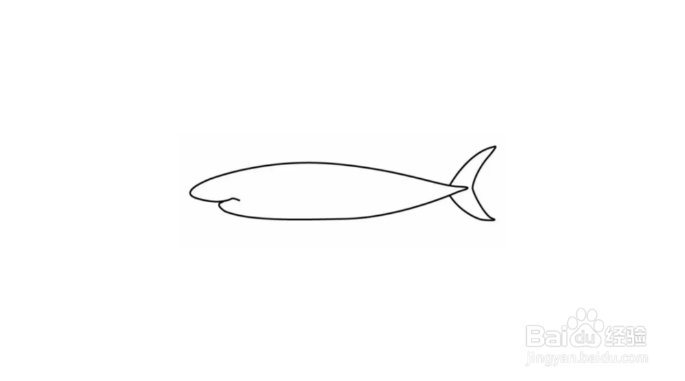 鲸鱼简笔画教程