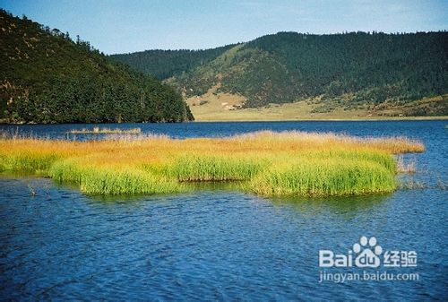 黄金长假丽江游