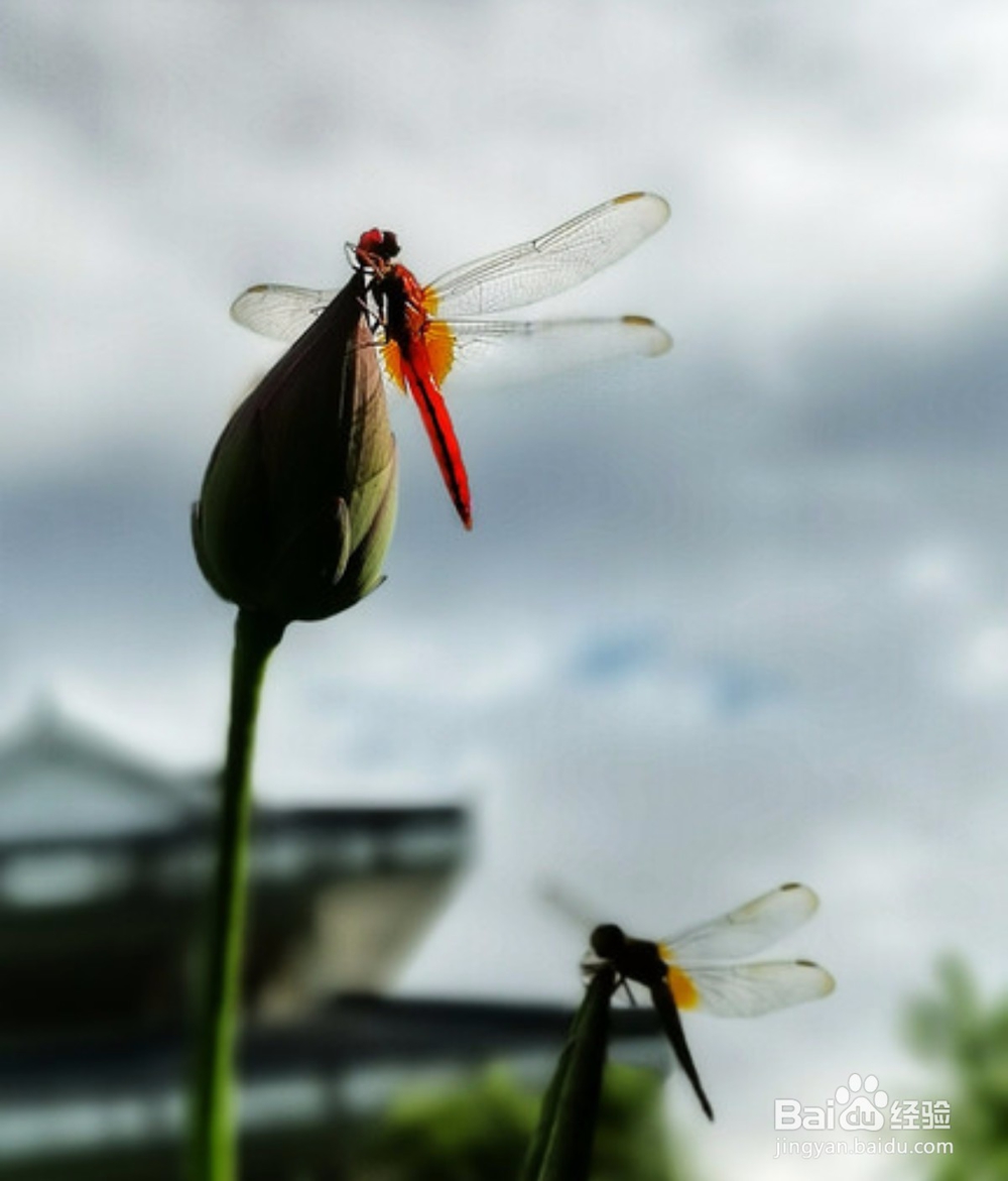 怎样通过谈话技巧说服对方？