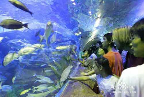 2019西安过年旅游攻略