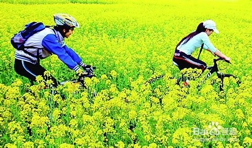 团队骑行注意事项