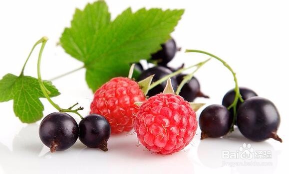 黑米花青素与冻干花青素的提取纯化差异