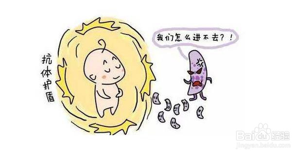 怎样提高我们的身体免疫力