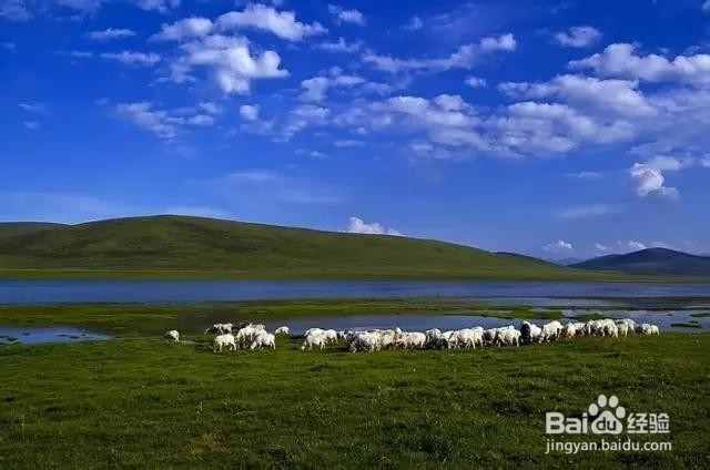 国内义工旅行民宿青年旅舍攻略