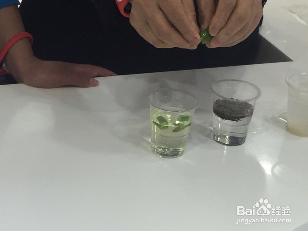 远离余氯，从保护自己开始