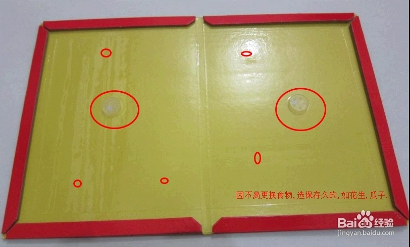 怎么抓老鼠和消灭老鼠