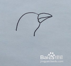 简笔画：一只小乌鸦