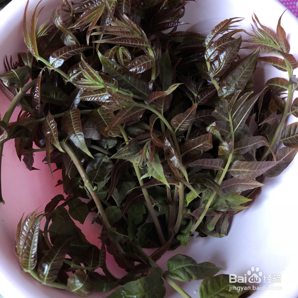 吃光光的炸香椿
