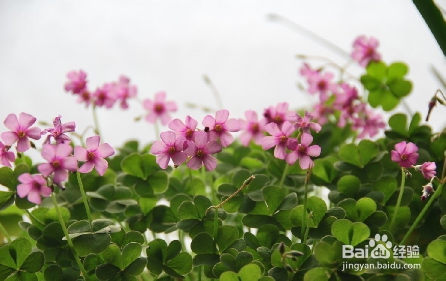 年轻人需做的10件事