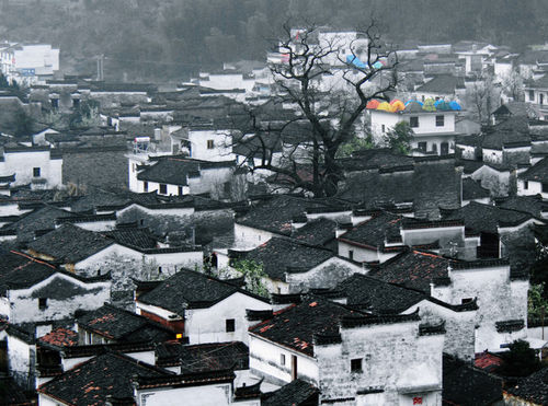 怎样安排婺源秋季摄影路线