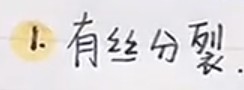如何使笔记标题更加显眼？