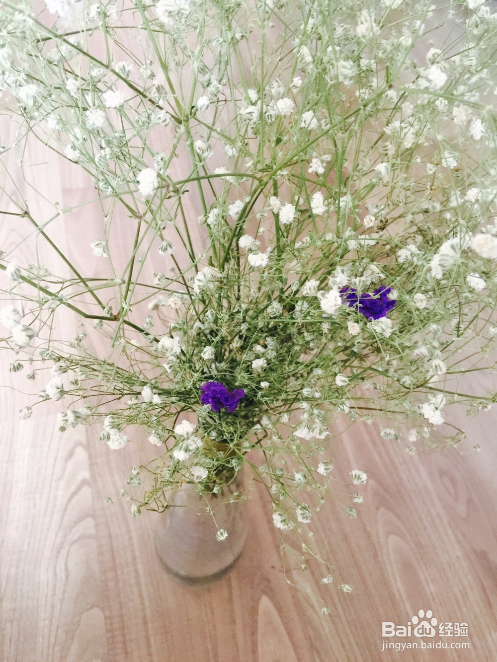 勿忘我干花花束速变瓶插花