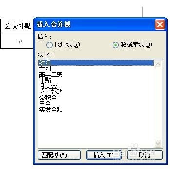 Excel 配合Word 实现工资条套打