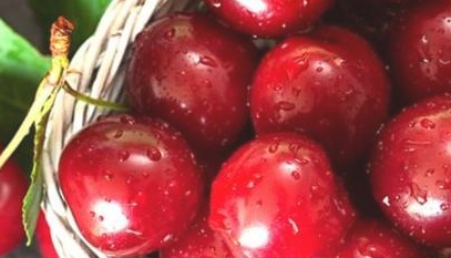 睡前不宜吃水果