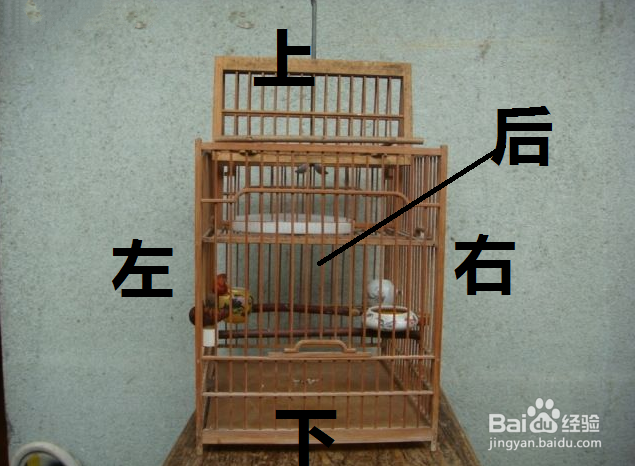 牡丹鹦鹉天冷怎么办