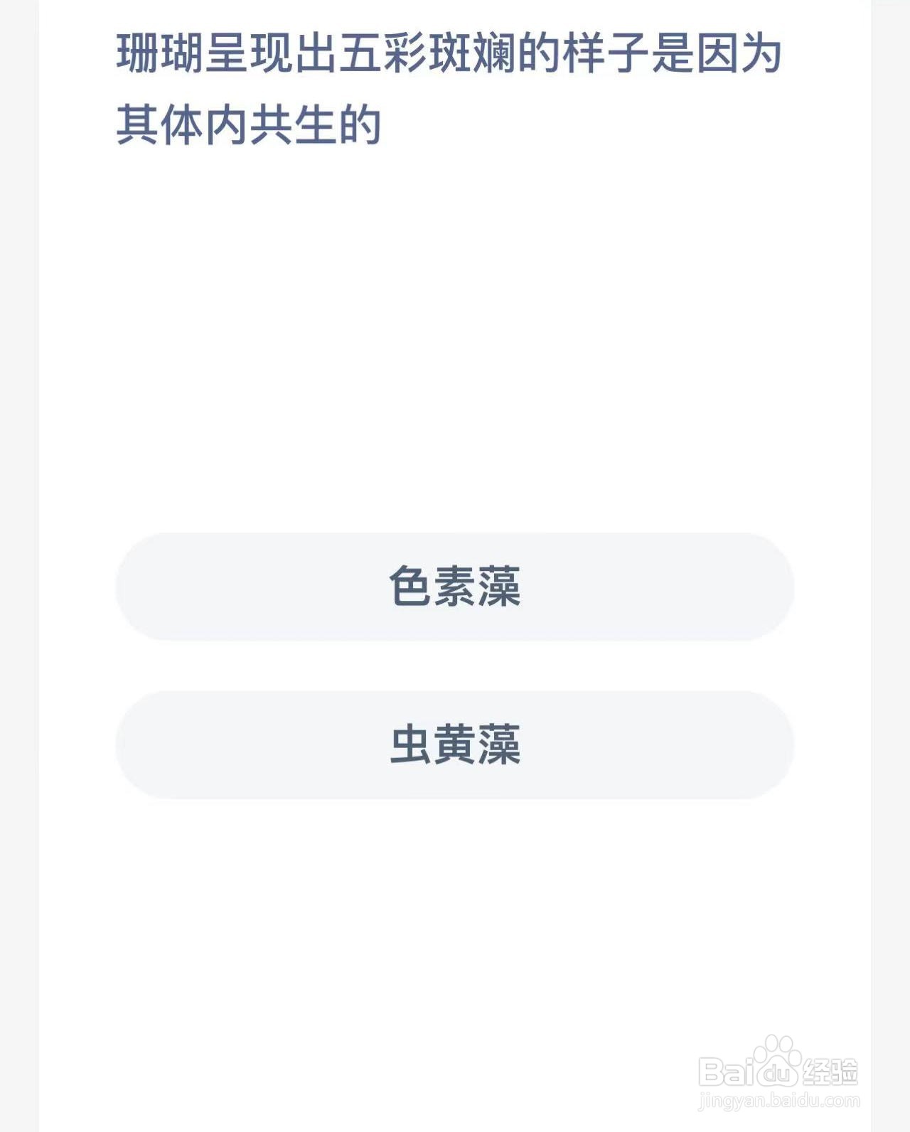 神奇海洋瑚呈现出五彩斑斓的样子是因为体内共生