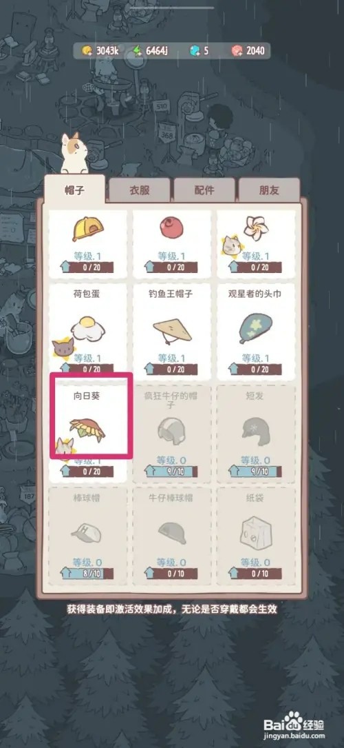 猫咪和汤怎样给猫咪戴向日葵