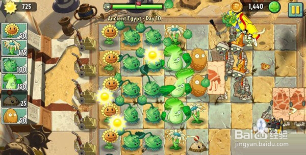 《植物大战僵尸2》通关图文攻略ios版---第八关
