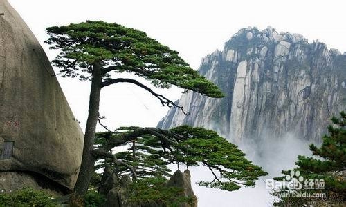 安徽黄山9月避暑旅游攻略