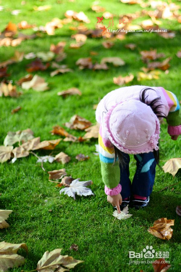 温哥华秋意的乐园，舞动的精灵(组图)