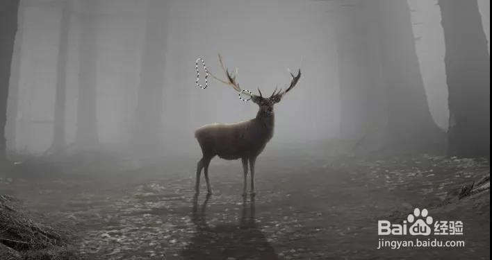 PS:合成一个奇幻神秘的森林场景(下)