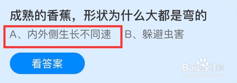成熟的香蕉，形状为什么是弯的蚂蚁庄园答案