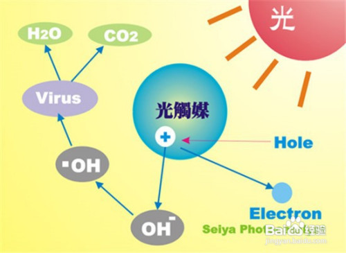 新房子用什么去甲醛最快最有效