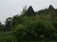 三峡水库旅游应该去这些地方，才不后悔
