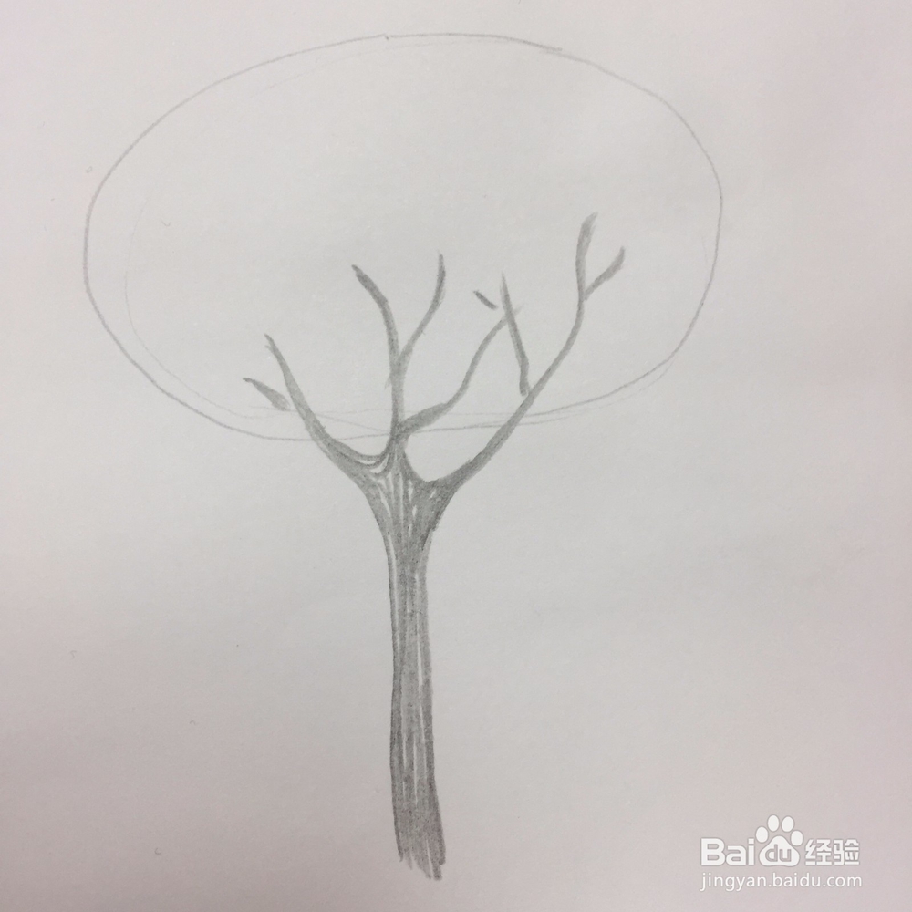 马克笔画樱花树教程