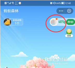 支付宝如何查看个人碳足迹