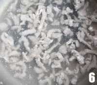 皮蛋瘦肉粥--简单做法