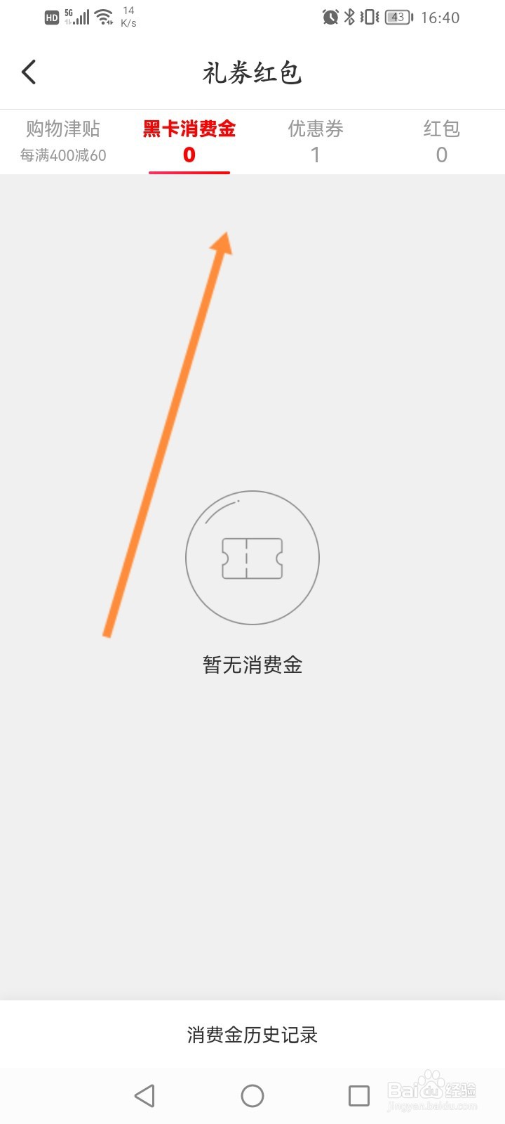 考拉海购怎么查看黑卡消费金余额