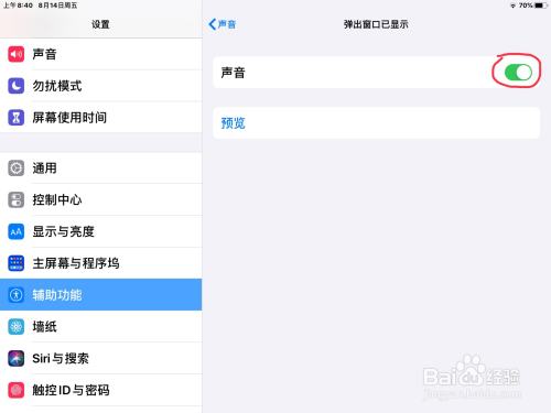 iPad怎么在旁白打开弹出窗口已显示声音的开关