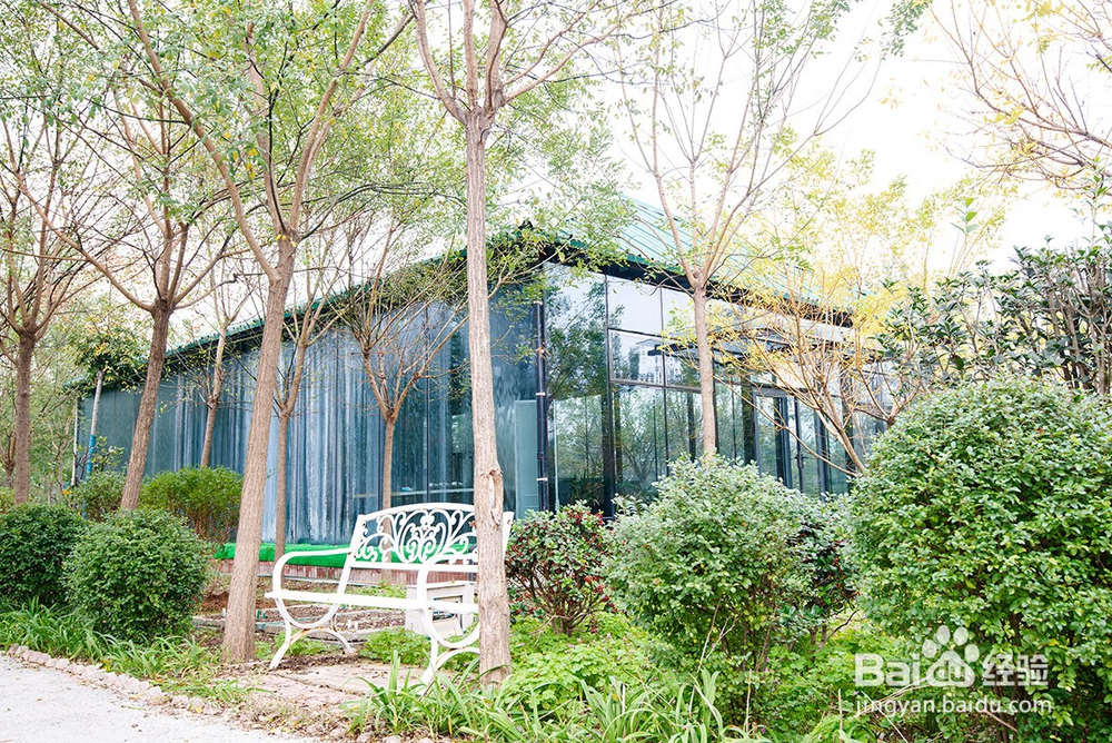 组团来许昌鄢陵,来浪漫步庭玫瑰农庄团餐超值