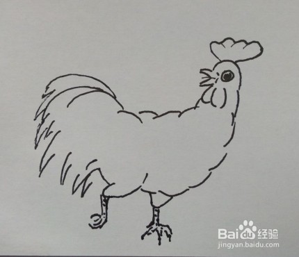 线描画：大公鸡怎么画才好看