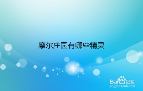 摩尔庄园手游小精灵介绍