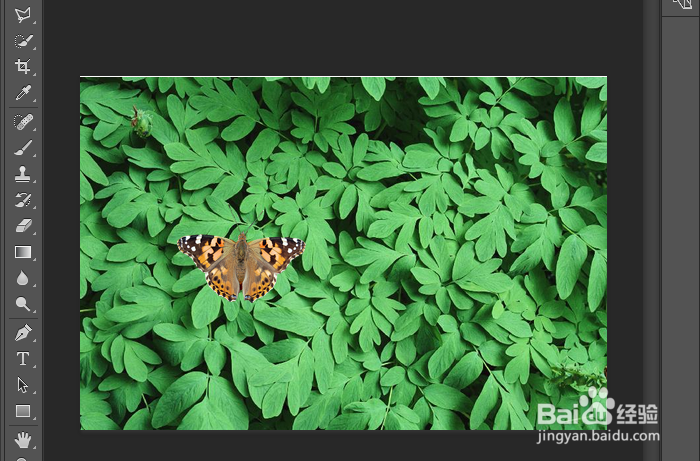 ps怎么把一张图放到另一张图片上