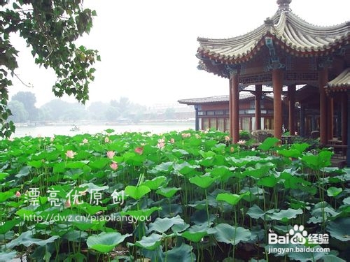 教你怎样用PS美化照片