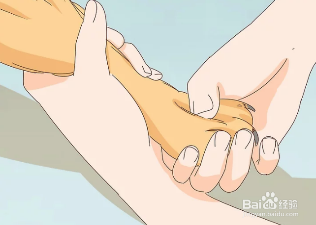 如何抚摸陌生的狗狗和熟悉的狗狗