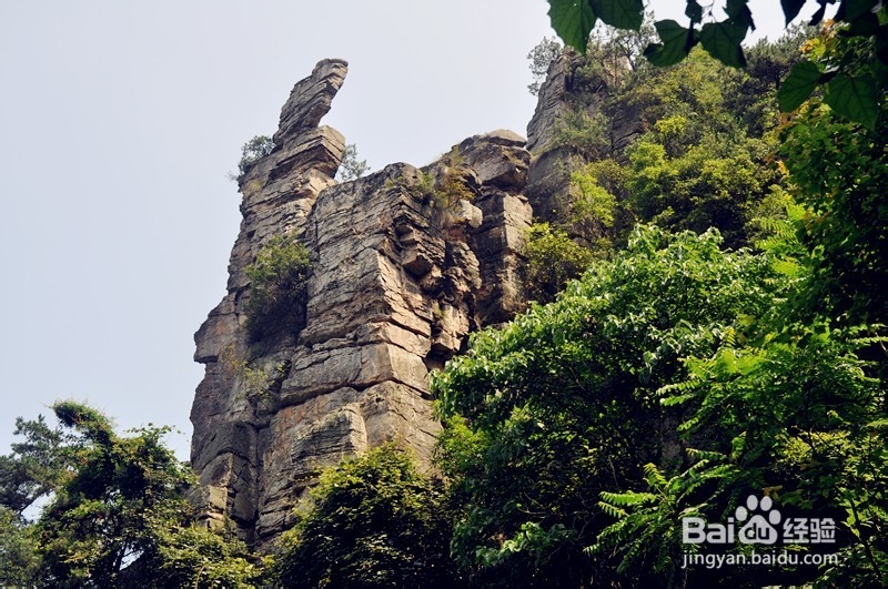 按月份去旅游拍照