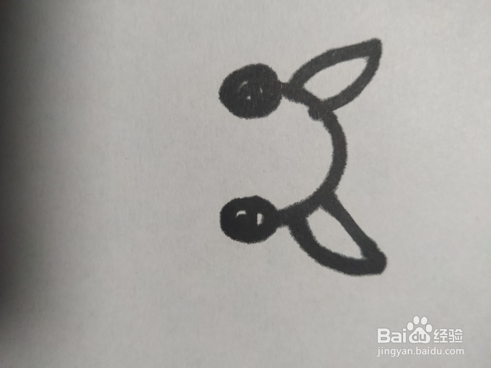 毛驴的简笔画技法13