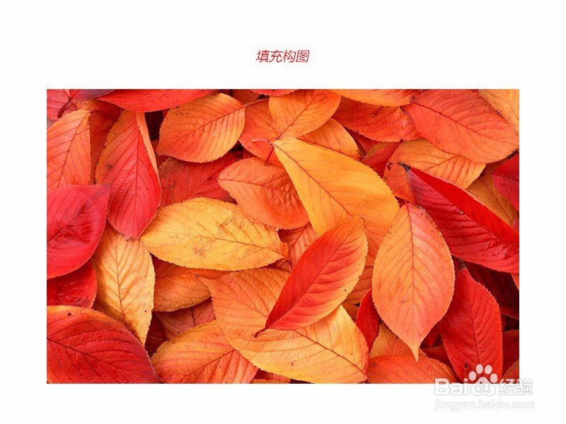 手机拍照怎么拍比较好看，要怎么构图呢？