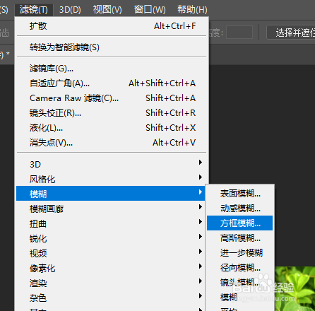 如何对图片中的图像进行方框模糊处理