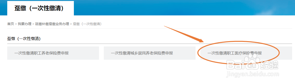 企业如何在网上一次性申报缴清职工医疗保险费