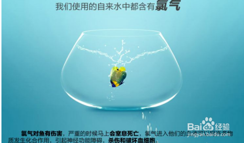 鱼缸水起白雾怎么解决