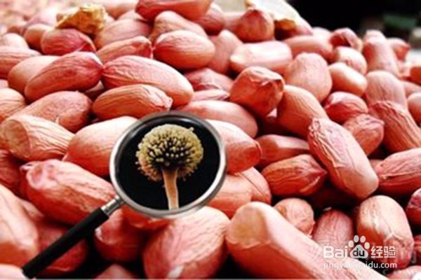 患有肝病的人不能进食哪些食物？